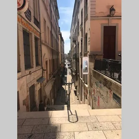 Apartment Entier - Refait A Neuf - Loft - Center Lyon